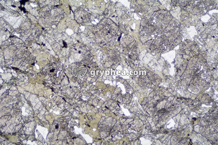 Eclogite LPNA x6,3 - gryphea.org